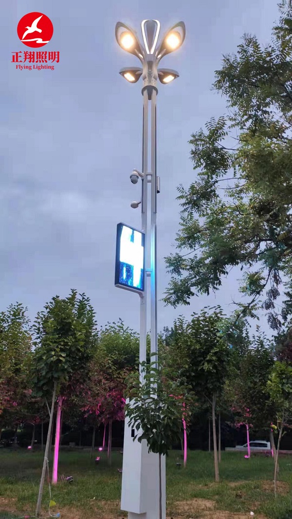 山東智慧路燈實(shí)拍圖