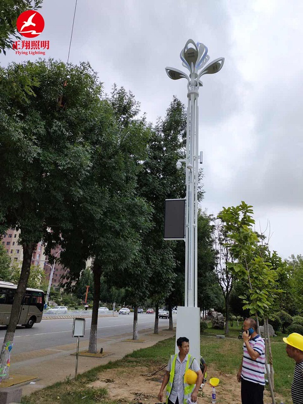 山東智慧路燈實(shí)拍圖