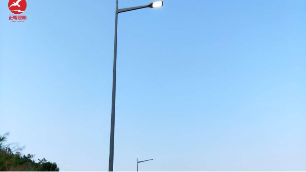 河源紫金縣355國道市電路燈