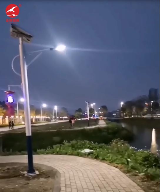 太陽能滅蚊路燈