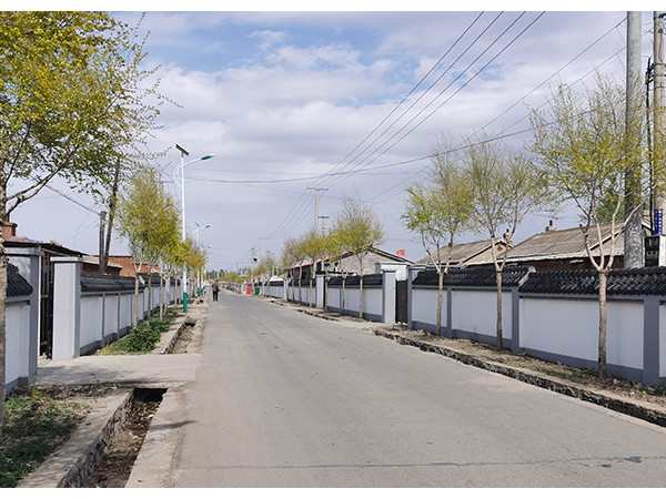 新農(nóng)村太陽能路燈