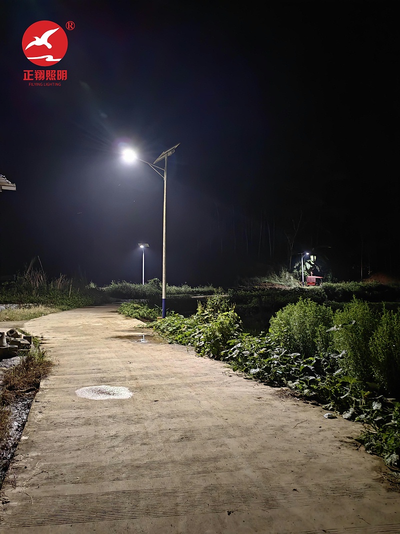廣西平果市太陽能路燈
