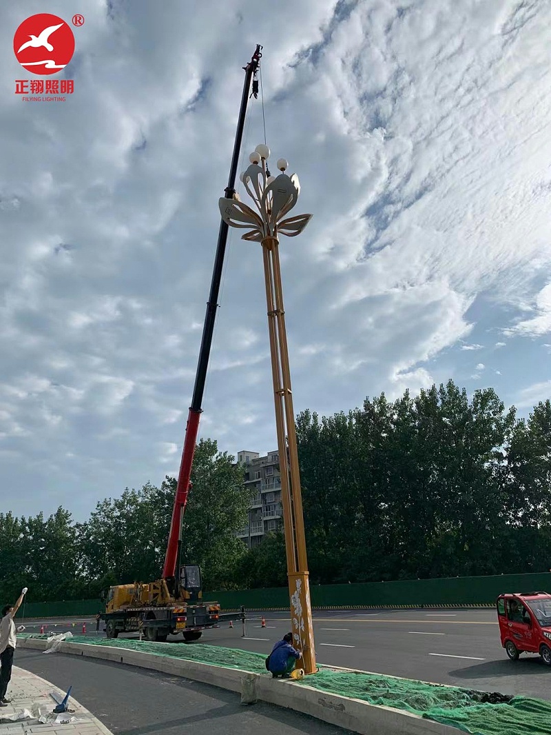 重慶市政道路玉蘭燈安裝