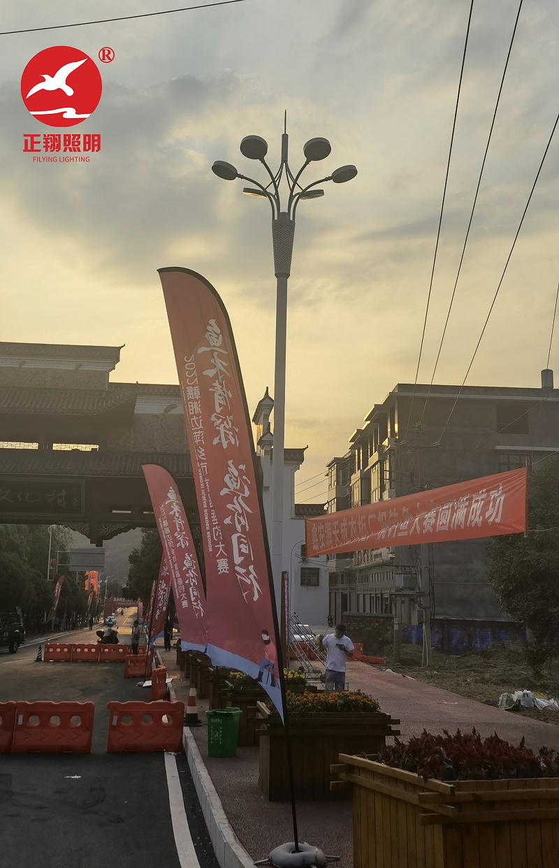 湖南道路景觀燈安裝 湖南道路景觀燈安裝